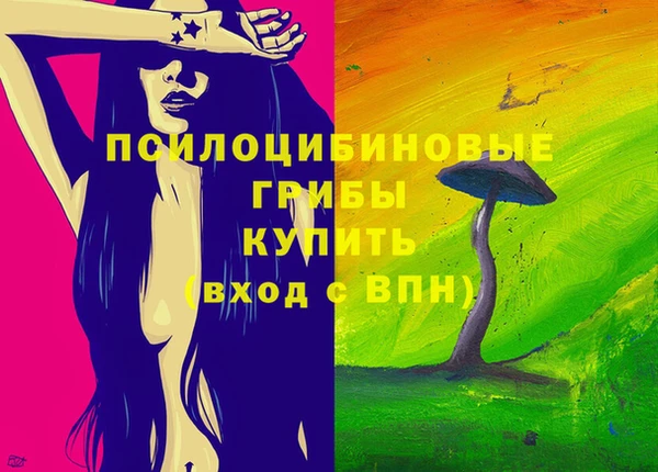 тгк Аркадак