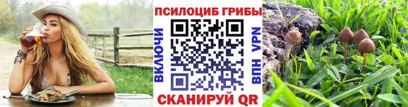 Псилоцибиновые грибы Psilocybine cubensis  MEGA   Хвалынск 